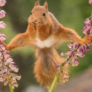 Meet your Posher, Jjennifer